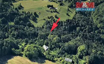 Prodej lesa 2 062 m², Koberovy, okres Jablonec nad Nisou