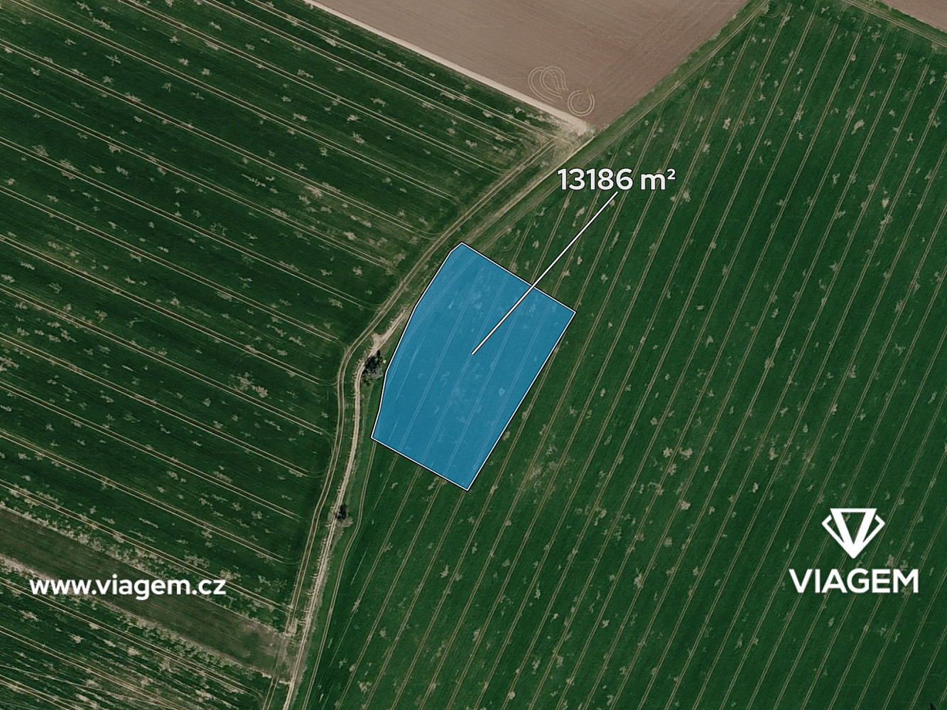 Prodej pole 549 m² — photo 2