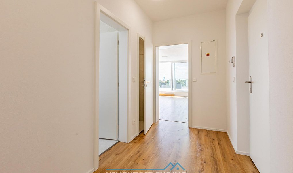 Prodej bytu atypického 235 m², Znojmo – náhled fotky 26
