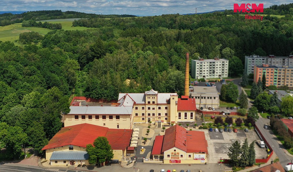 Prodej výrobních prostor 8 700 m², Kynšperk nad Ohří – fotka 1 z 30