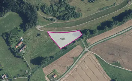 Prodej pole 8 098 m², Rychnov na Moravě, okres Svitavy