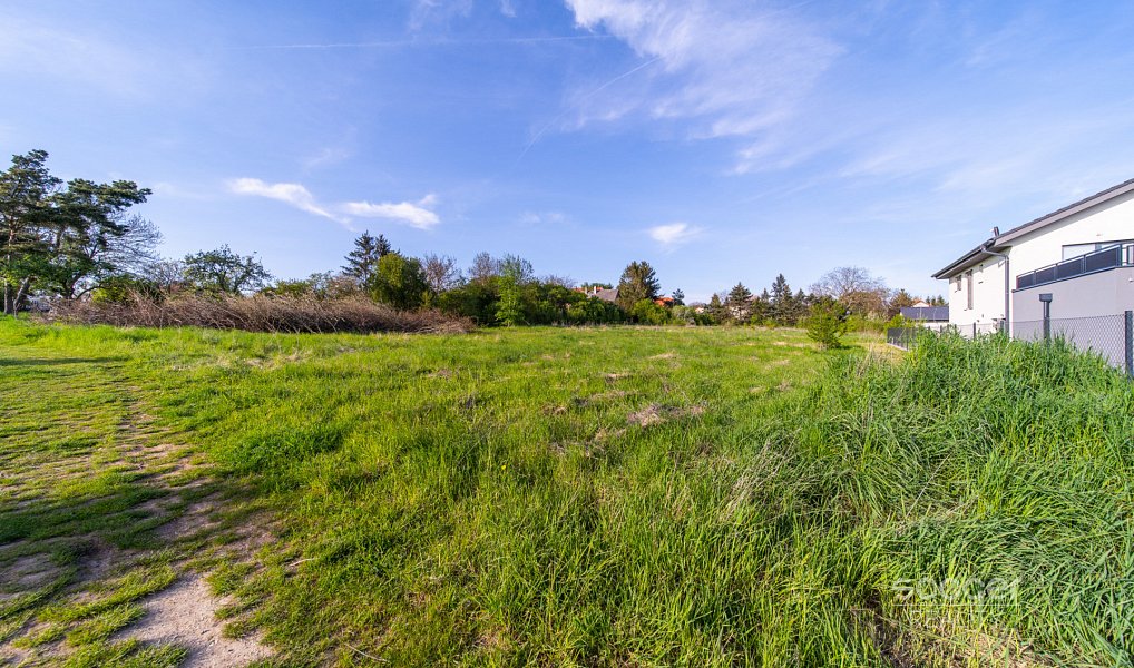 Prodej stavebního pozemku 2 813 m², Dobříč – náhled fotky 3