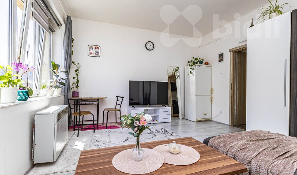 Prodej bytu 2+kk 49 m², Praha – náhled fotky 2