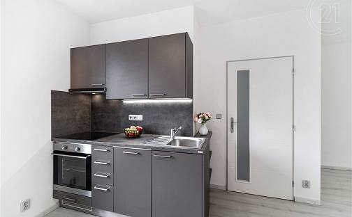 Pronájem bytu 1+kk 31 m², Růženy Svobodové, Znojmo