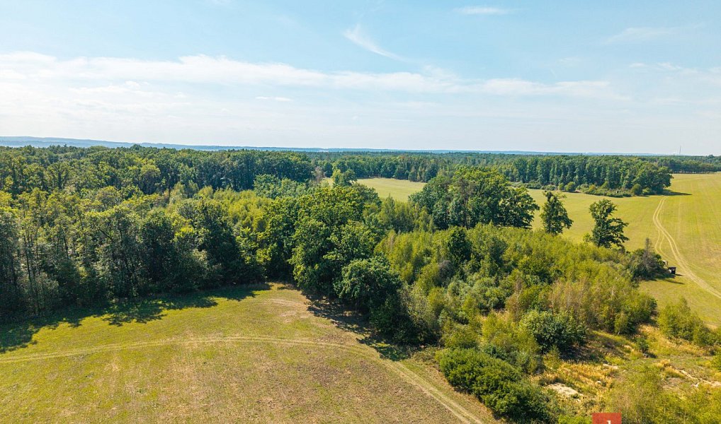 Prodej lesa 37 347 m², Pardubice – náhled fotky 7