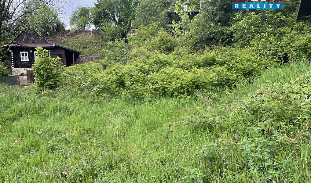 Prodej zahrady 580 m², Horní Bečva – náhled fotky 2