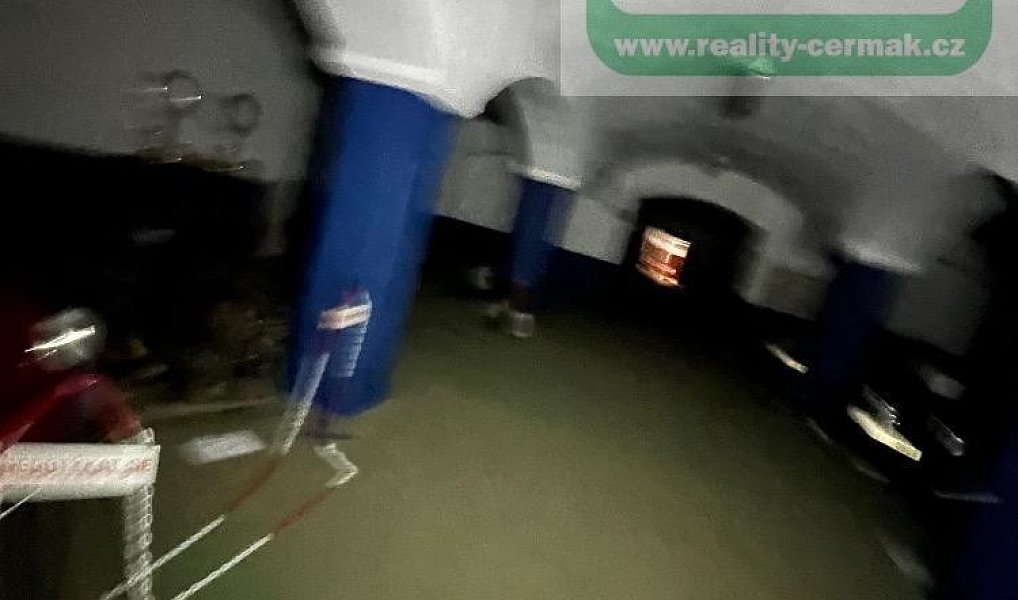 Prodej komerčního objektu (jiného typu) 6 810 m², Stod – náhled fotky 19