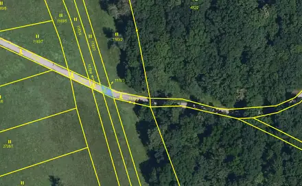Prodej lesa 58 m², Břeclav - Charvátská Nová Ves