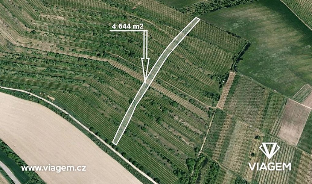 Prodej pole 4 651 m², Morkůvky – fotka 1 z 5