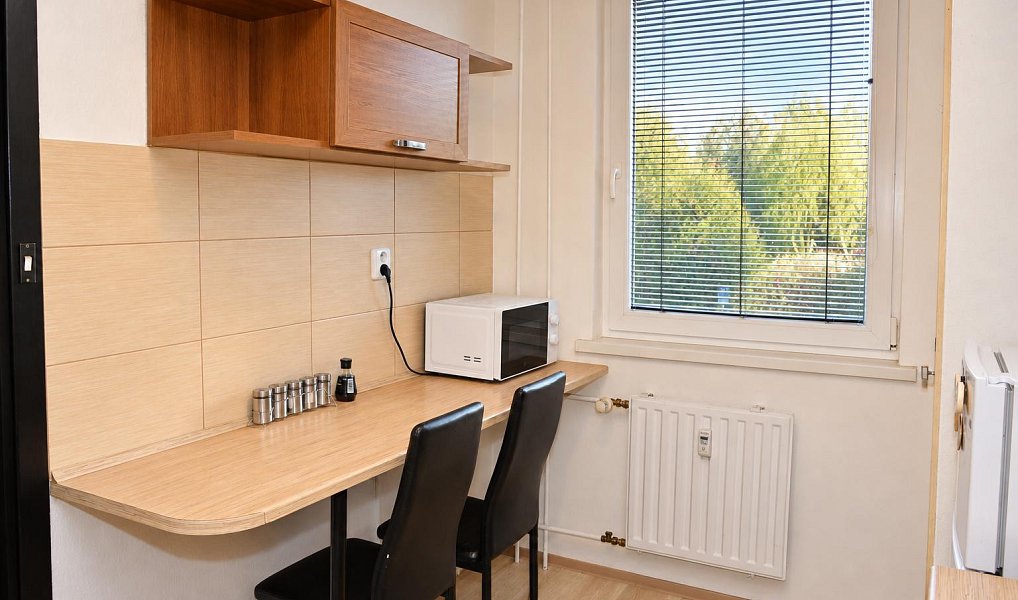 Pronájem bytu 2+1 45 m², Orlová – náhled fotky 4