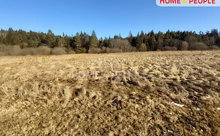 Prodej louky 9 804 m², Černá v Pošumaví, okres Český Krumlov