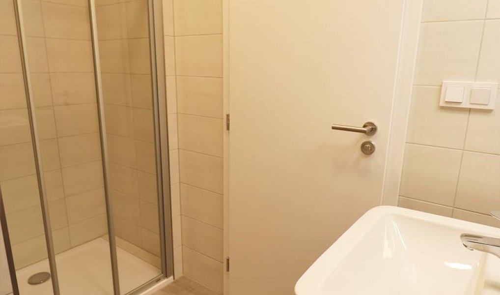 Pronájem bytu 1+kk 30 m², Praha – náhled fotky 8