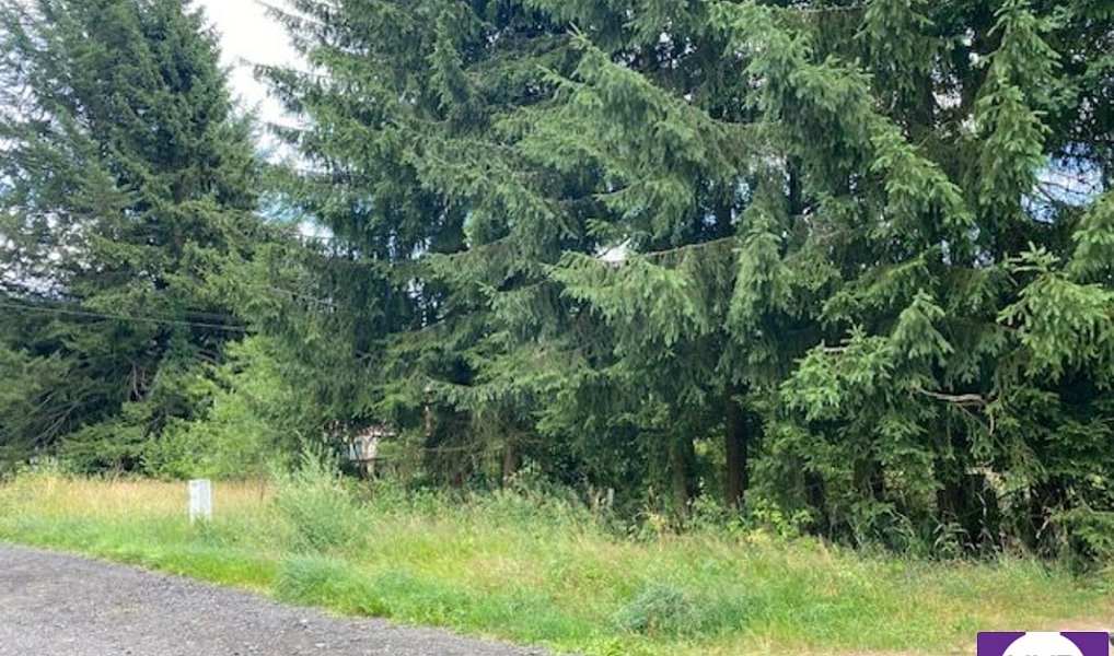 Prodej stavebního pozemku 511 m², Rotava – náhled fotky 5