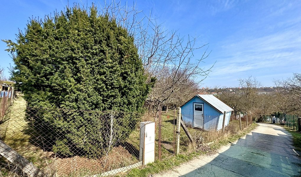 Prodej zahrady 511 m², Dyje – náhled fotky 2