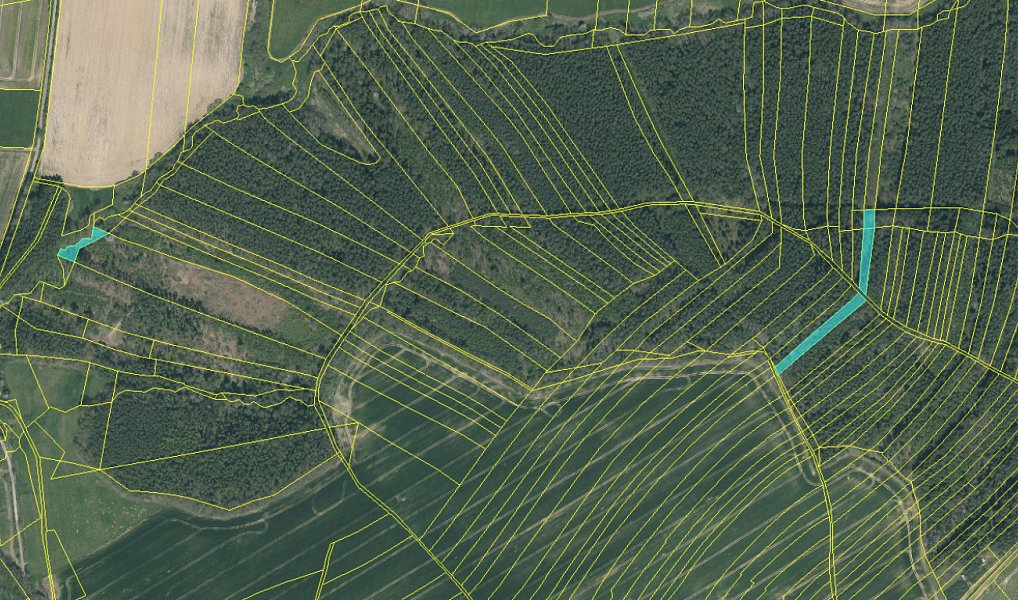 Prodej lesa 3 491 m², Vlastiboř – náhled fotky 7