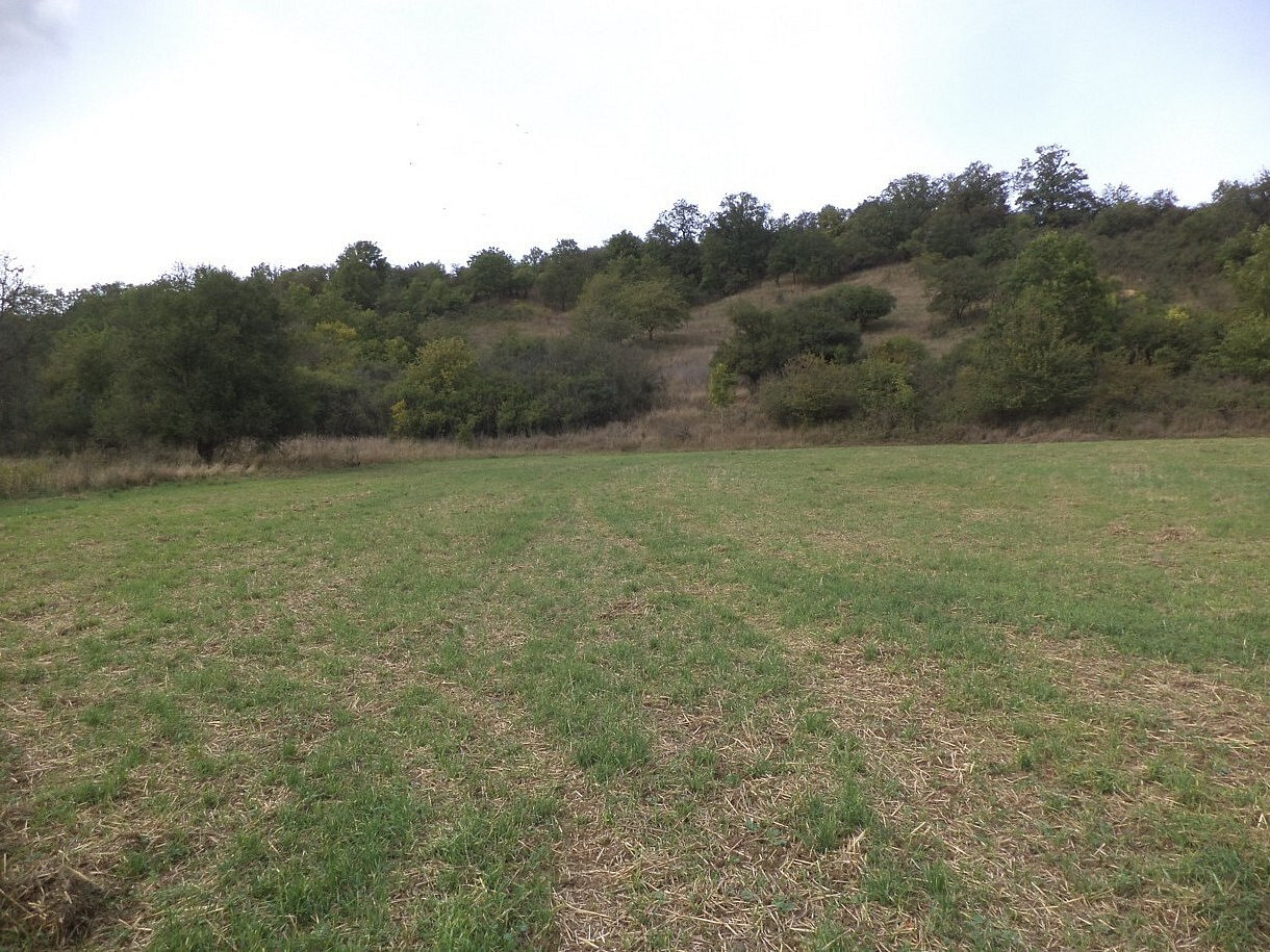 Dražba louky 22 441 m²