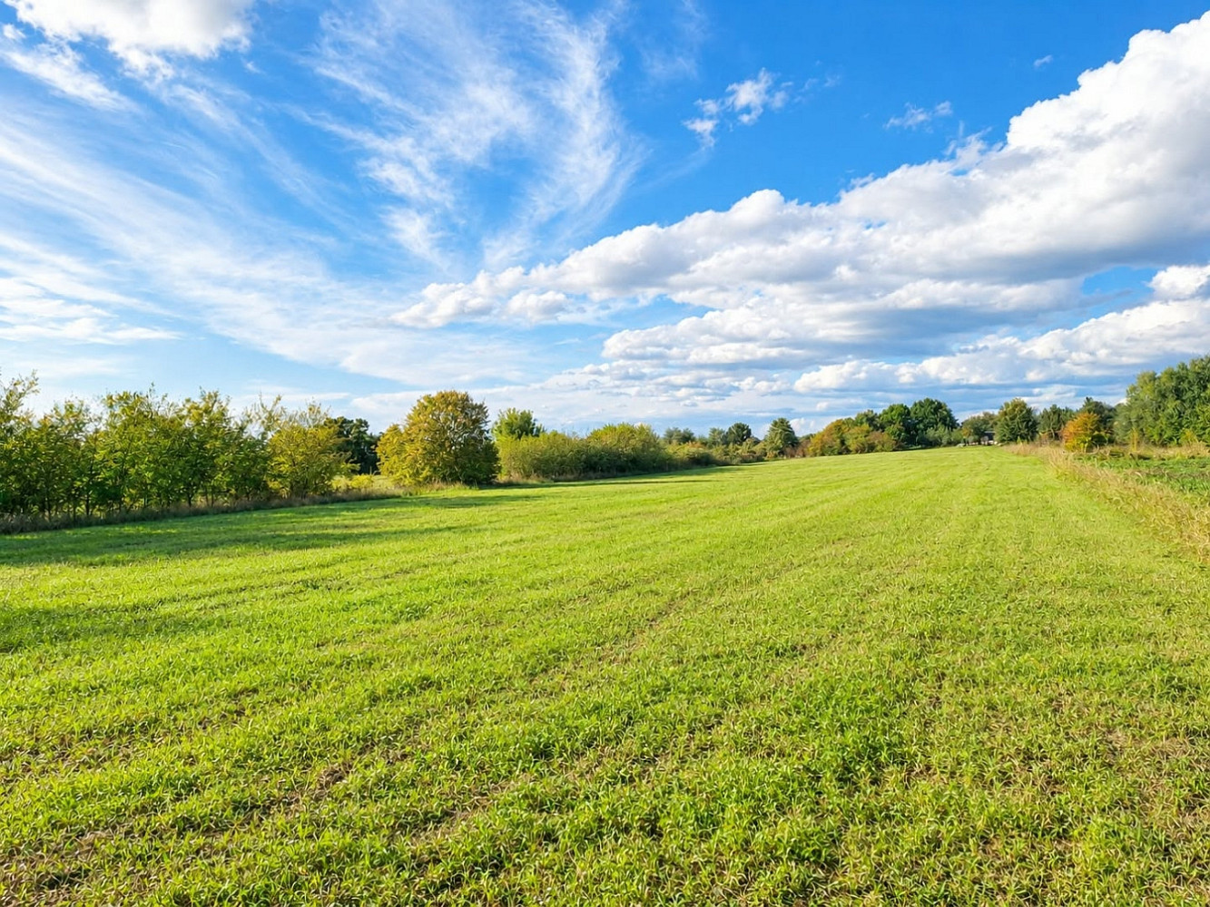 Prodej stavebního pozemku 8 650 m²