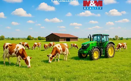 Prodej pole 15 909 m², Dolní Roveň - Komárov, okres Pardubice