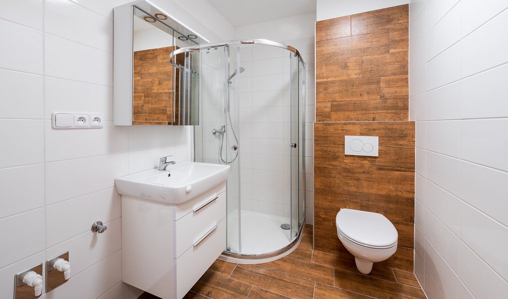 Pronájem bytu 1+kk 24 m², Plzeň – náhled fotky 4
