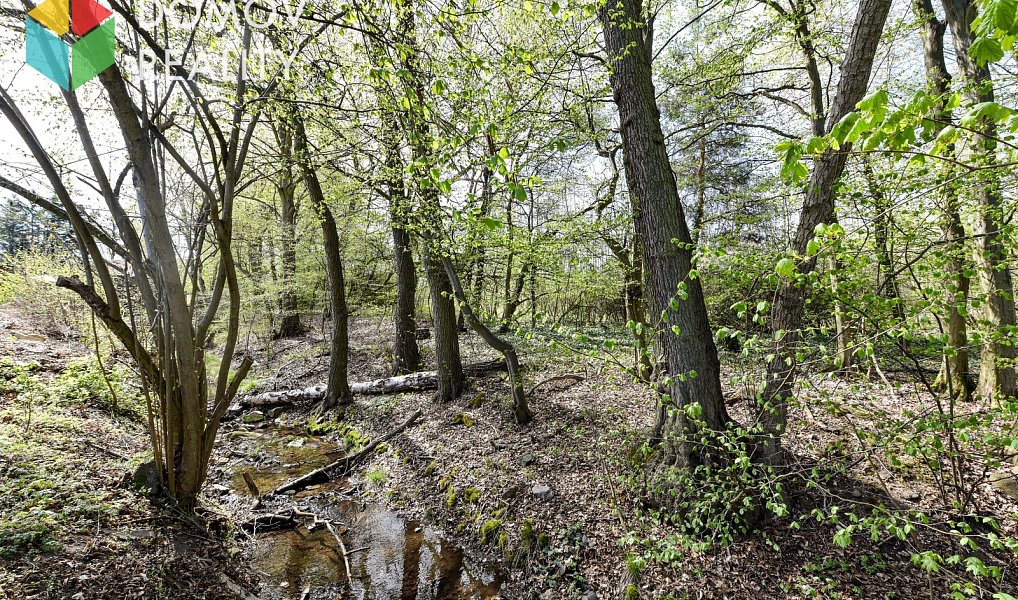 Prodej stavebního pozemku 1 132 m², Skuhrov – náhled fotky 10