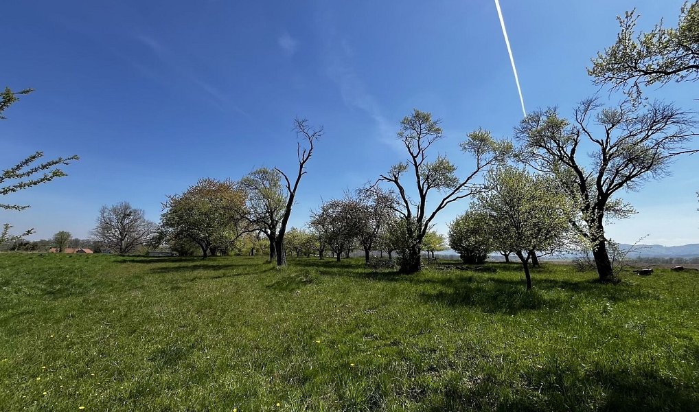 Pronájem pozemku 7 559 m², Horní Újezd – náhled fotky 8
