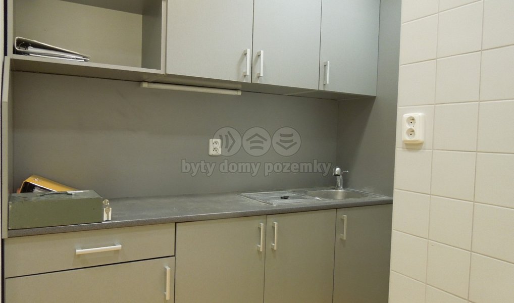 Pronájem obchodních prostor 398 m², Praha – náhled fotky 9