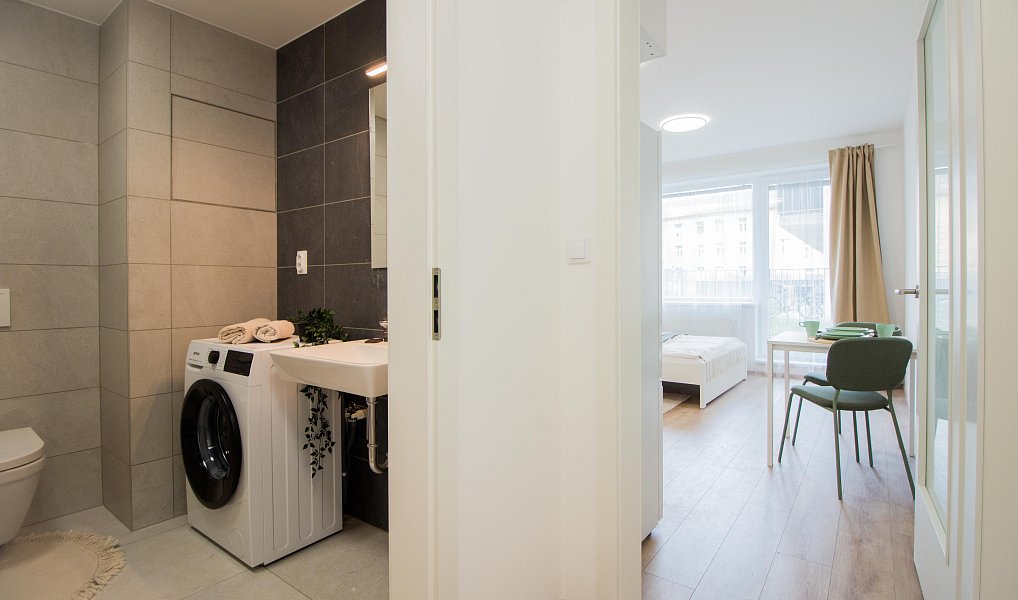 Pronájem bytu 1+kk 29 m², Brno – náhled fotky 11