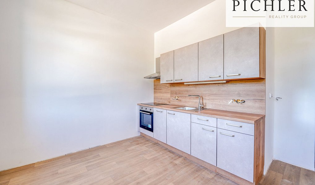 Pronájem bytu 1+kk 35 m², Horní Bříza – náhled fotky 5