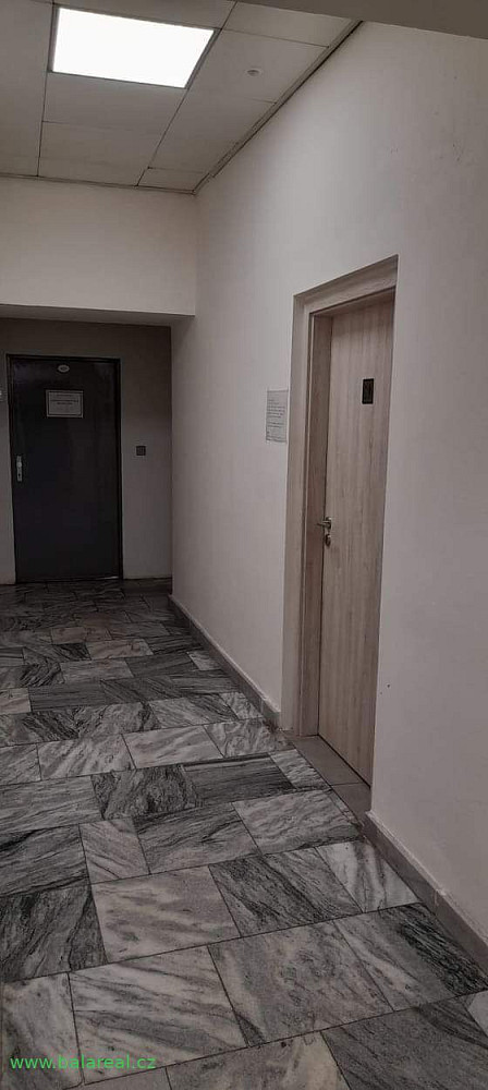 Pronájem kanceláře 14 m² – fotografie 4