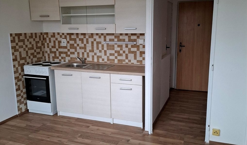 Pronájem bytu 1+kk 22 m², Duchcov – náhled fotky 2