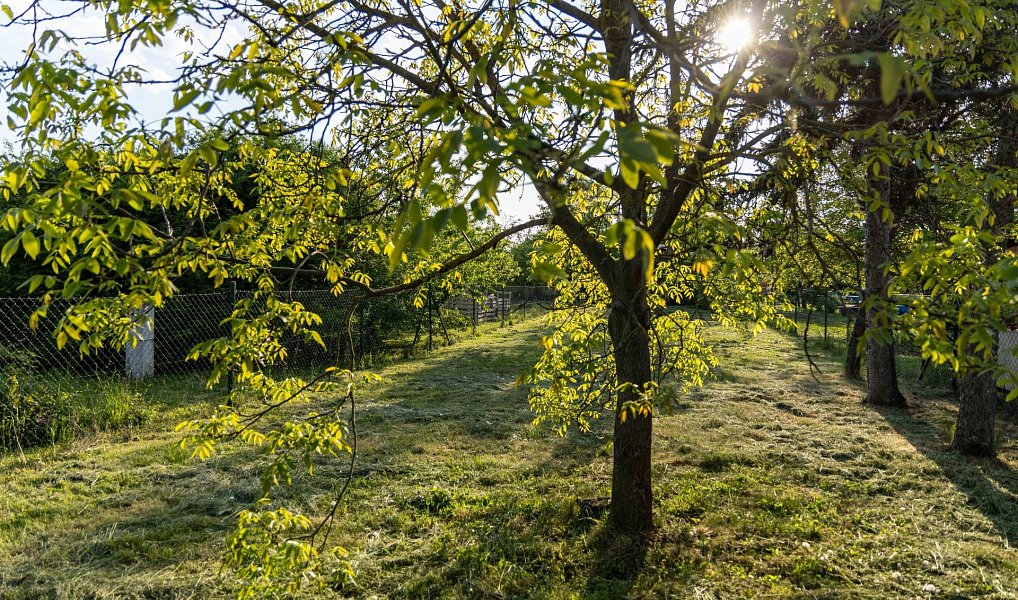 Prodej stavebního pozemku 1 291 m², Brno – náhled fotky 24
