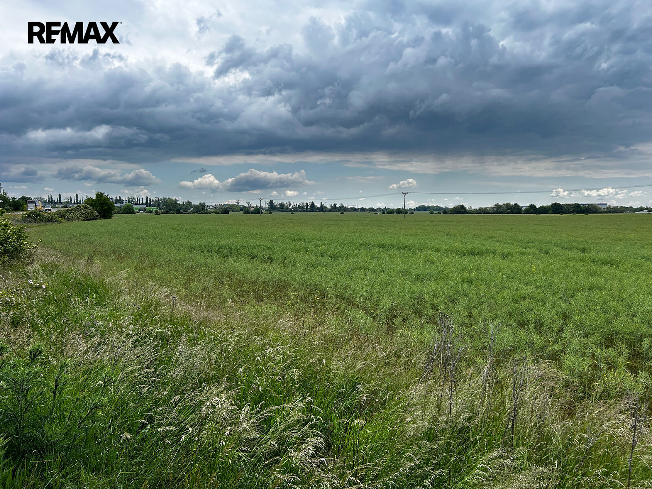 Prodej komerčního pozemku 3 699 m² – fotografie 3