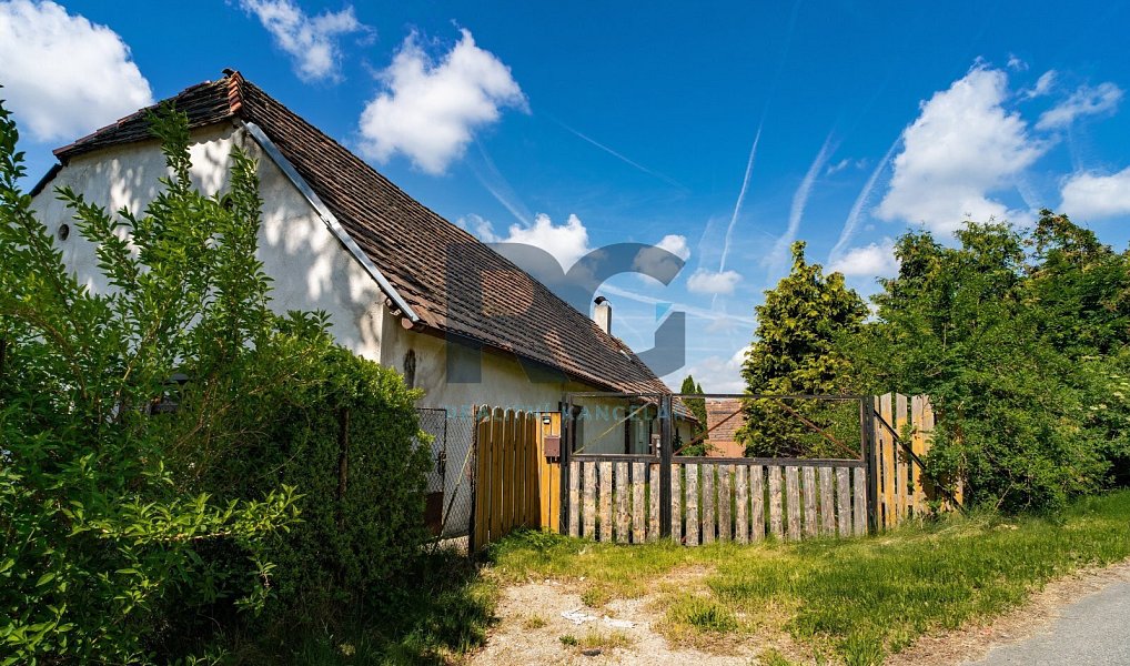 Prodej domu 449 m² s pozemkem 1 102 m², Protivín – náhled fotky 3