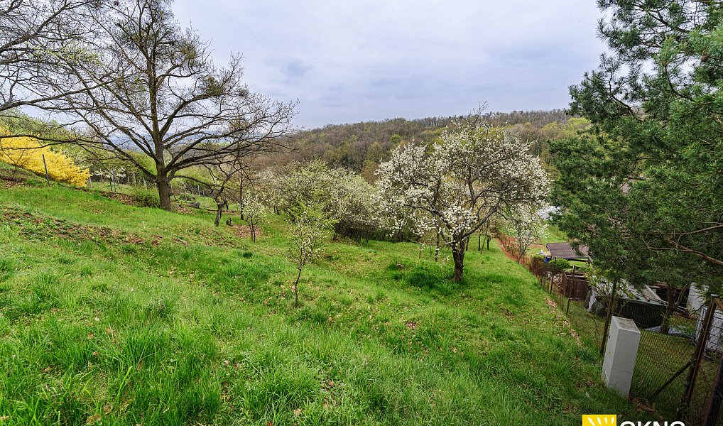 Prodej zahrady 1 459 m², Střelice – náhled fotky 10