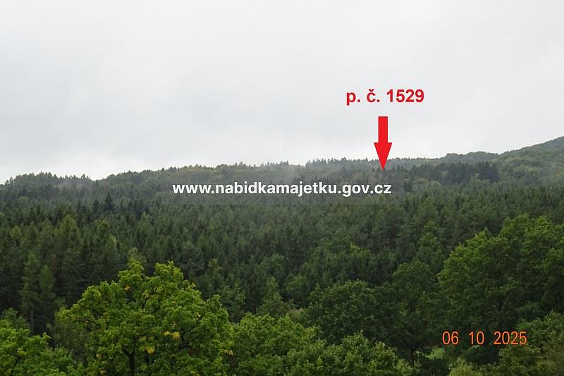 Prodej lesa 144 m² – pohled 2