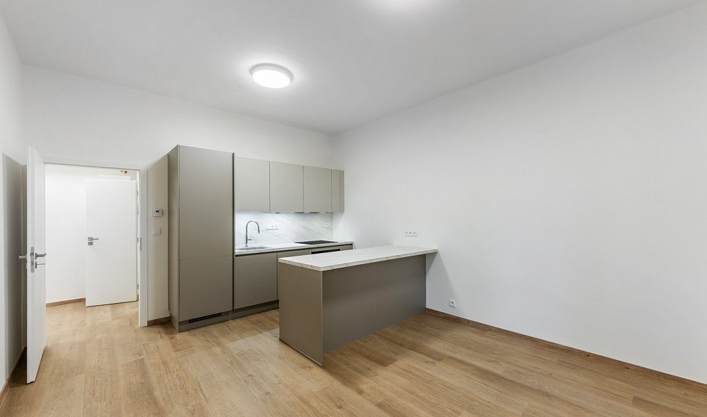 Prodej bytu 2+kk, 46 m², Nusle - Praha 4, Praha