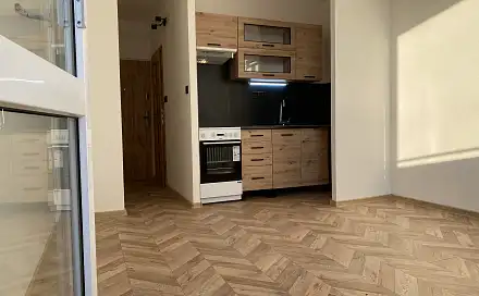 Pronájem bytu 1+kk 21 m², U Věžových domů, Most