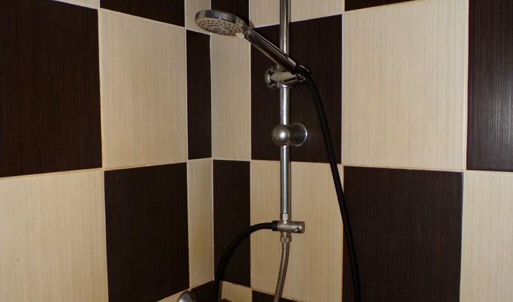 Prodej domu 205 m² s pozemkem 6 330 m², Čestín – náhled fotky 17
