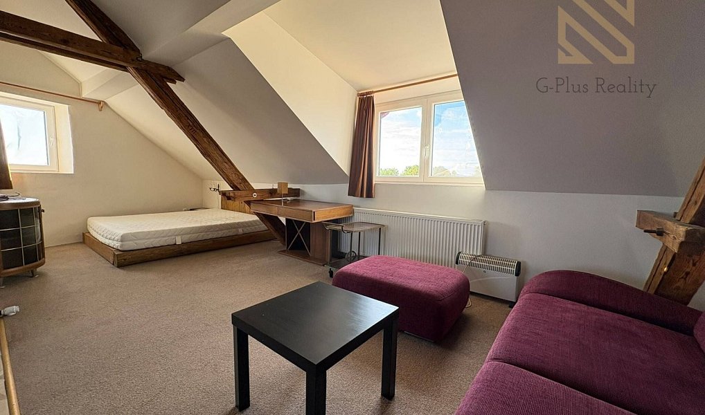 Pronájem bytu 1+kk 48 m², Černiv – náhled fotky 9