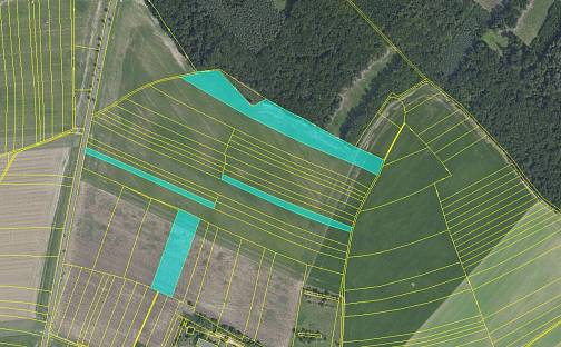 Prodej pole 42 163 m², Poděbradská, Dlouhopolsko, okres Nymburk