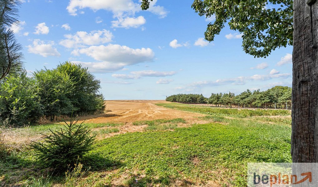 Prodej domu 205 m² s pozemkem 1 082 m², Hředle – náhled fotky 12