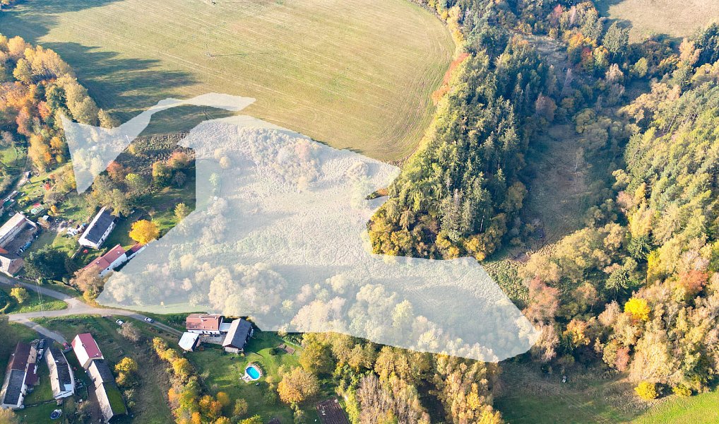Prodej pozemku 15 970 m², Planá – náhled fotky 13