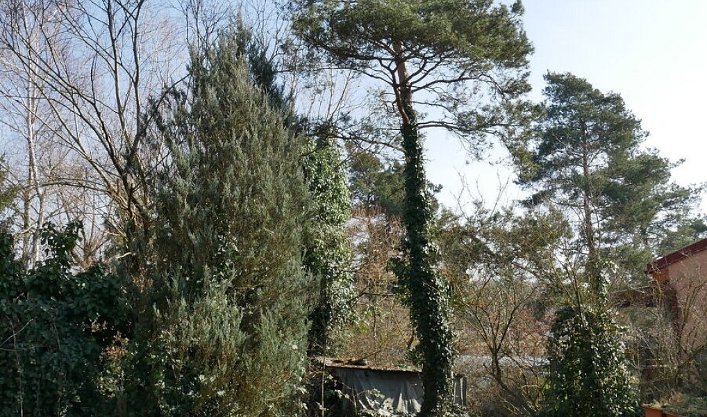 Prodej chaty/chalupy 85 m² s pozemkem 58 m², Chudíř – náhled fotky 16