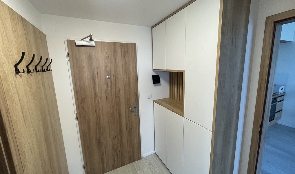 Pronájem bytu 2+kk 50 m², Brno – náhled fotky 5