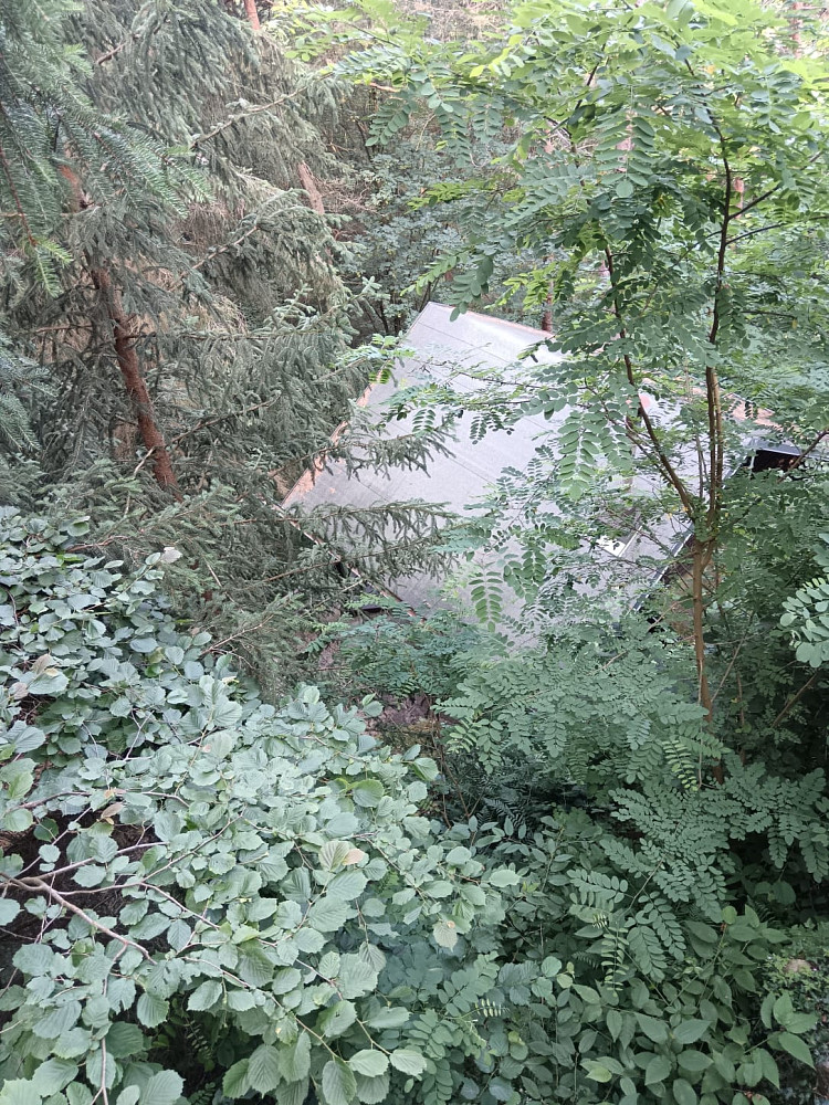 Fotka 3 z 15