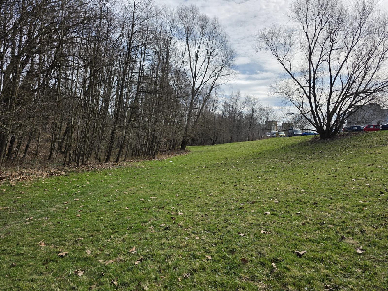 Prodej komerčního pozemku 2 561 m² – fotografie 3