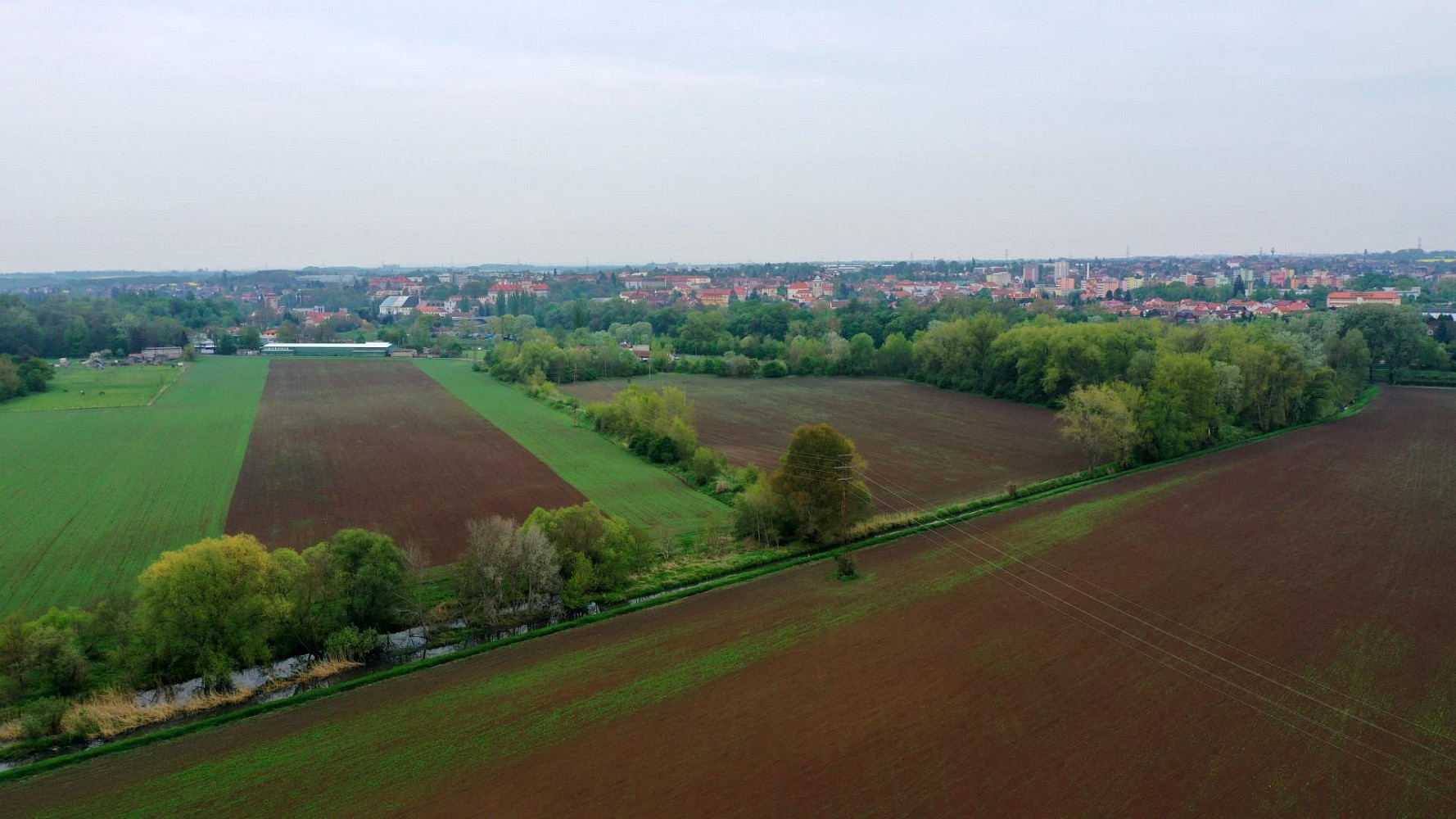 Prodej pole 10 667 m² — photo 2