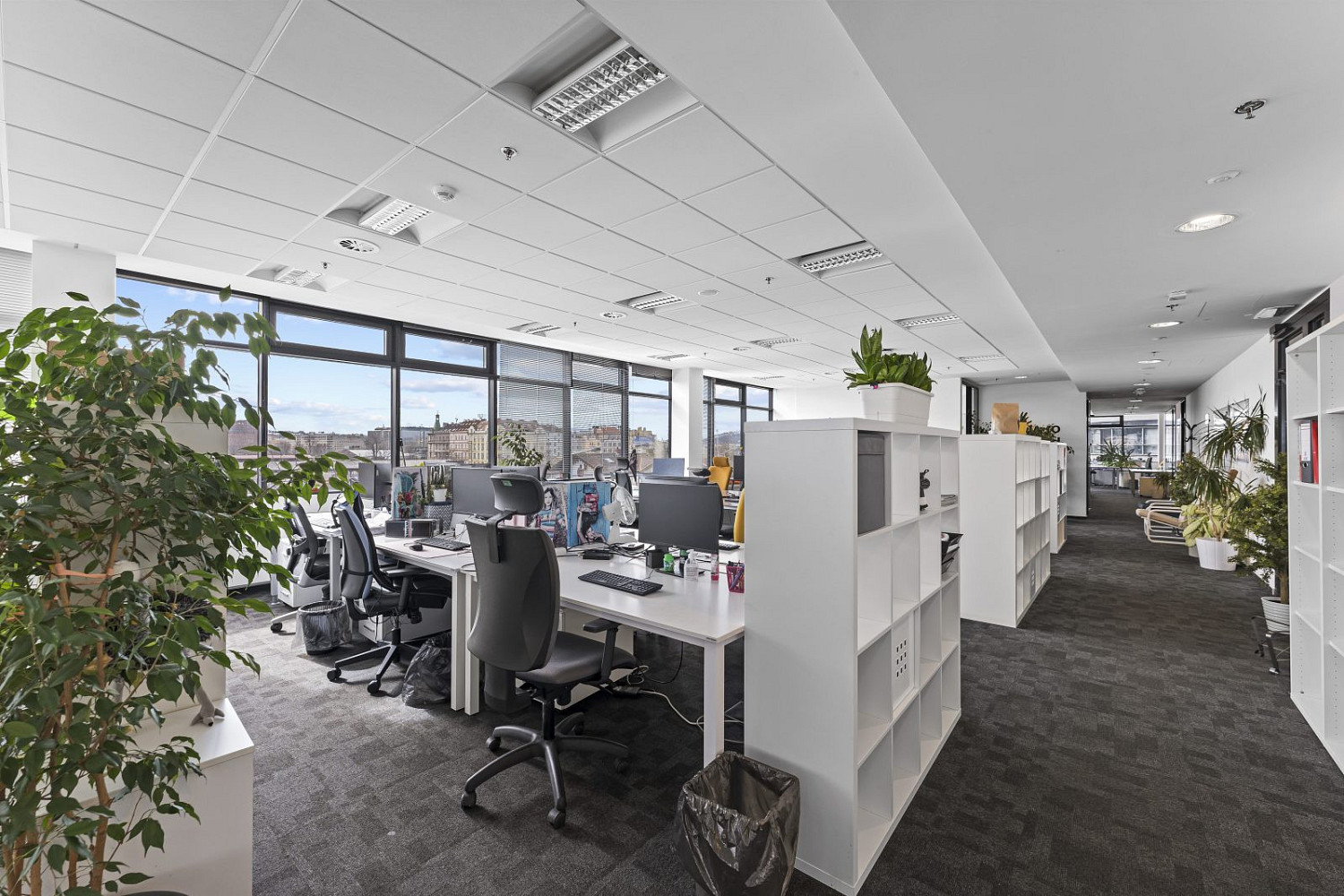 Pronájem kanceláře 353 m² – fotografie 5