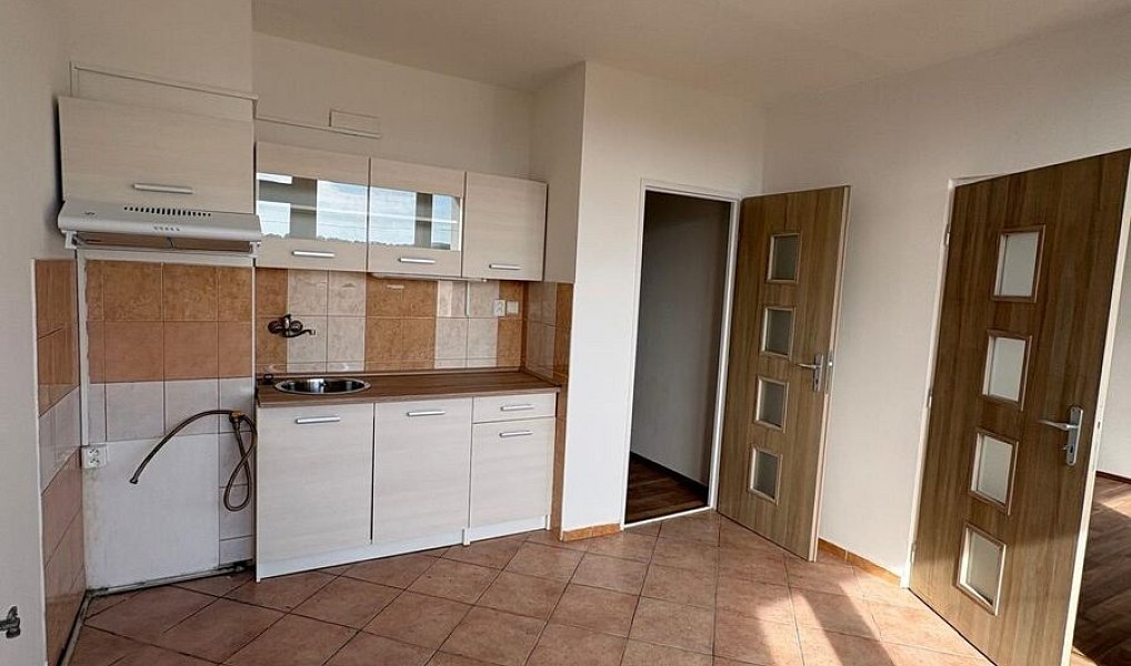 Pronájem bytu 1+1, 55 m², Teplické Předměstí - Teplice, Bílina