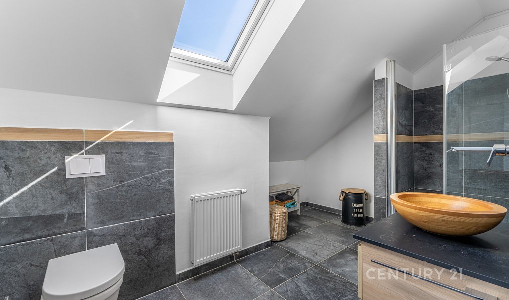 Prodej domu 340 m² s pozemkem 1 893 m², Družec – náhled fotky 15
